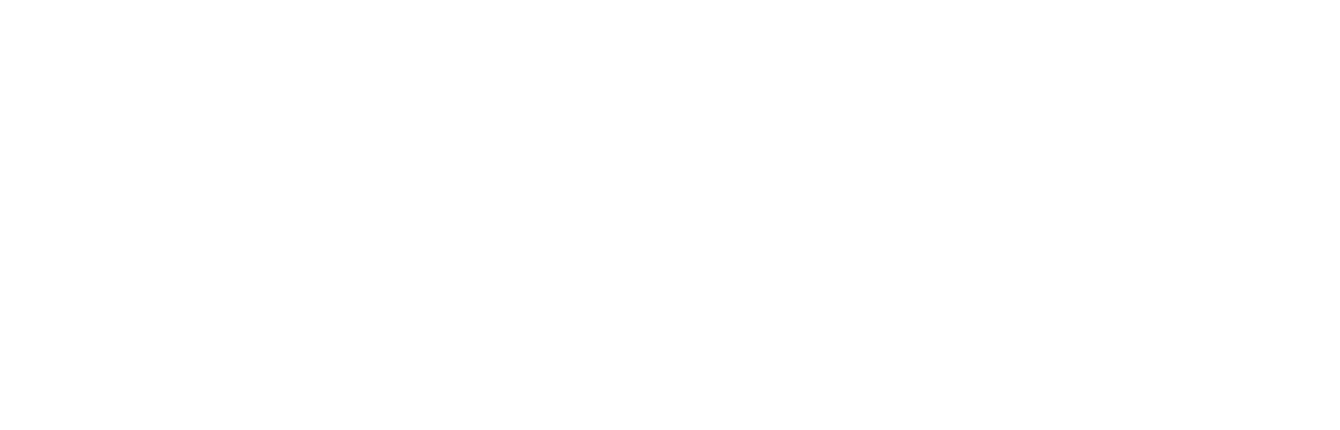 The rock show 